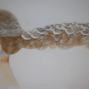" Oiseaux de plage " 74 x 150 cm Sold